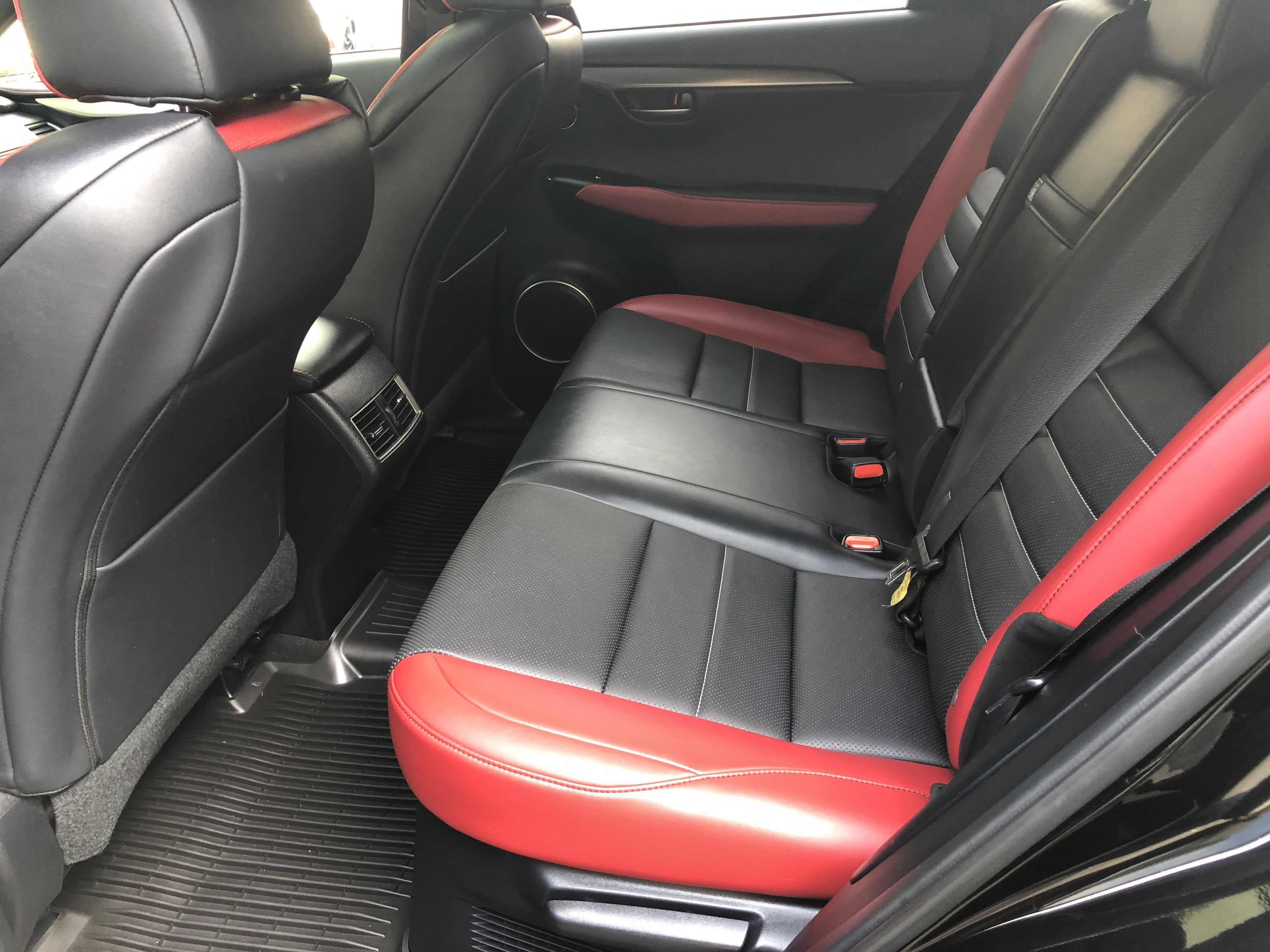 2020 Lexus NX NX 300 F SPORT